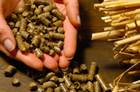 free Prinsted biomass boiler quotes